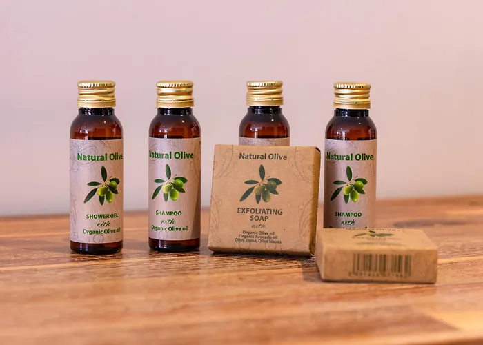 Moderne Et élégant Michel Torrent Appartement