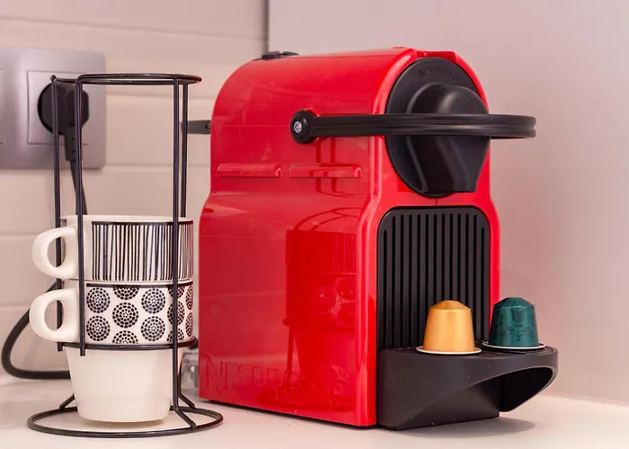 Moderne Et élégant Michel Torrent